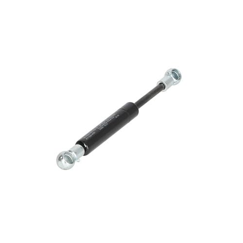 Amazon.com: Gas Strut Spring Cylinder Door Compatible with Ford